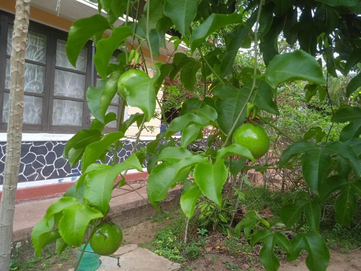 Sanaya Homestay Tangalle Esterno foto
